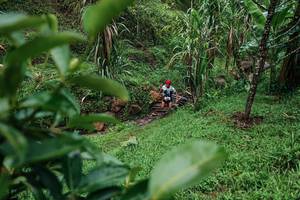 BIB: 
                            <button type="button" onclick="openModal(26200160)" class="btn btn-primary btn-sm float-right btn-popup" data-toggle="modal" data-target=".modal-high-quality">
                        <i class="fas fa-shopping-cart"></i> Add to Cart
                    </button>
                                            <button type="button" onclick="isThisMe(26200160, true)" class="btn btn-success btn-sm float-right btn-popup btn-isme hidden" data-toggle="tooltip" data-placement="bottom" title="นี่คือรูปของคุณใช่ไหม คลิกที่นี่เพื่อเอาเข้าอัลบั้ม">
                        <i class="fas fa-plus"></i> Add to album
                    </button>
                    <button type="button" onclick="isThisMe(26200160, false)" class="btn btn-warning btn-sm float-right btn-popup btn-isnotme hidden">
                        <i class="fas fa-ban"></i> Remove from album
                    </button>